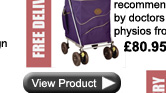 Sholley TDM Swivel shopping trolley