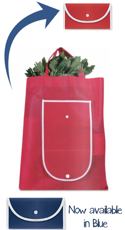 Foldable Reusable Shopping Bag with Closing Buckle
