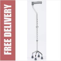 Quad Cane